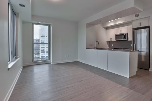 Open Concept Kitchen and Living Area Space