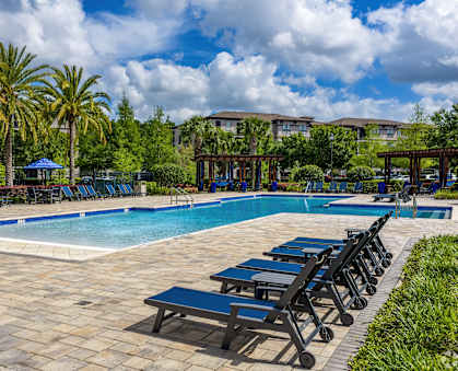 A pool surrounded by palm trees and blue lounge chairs.