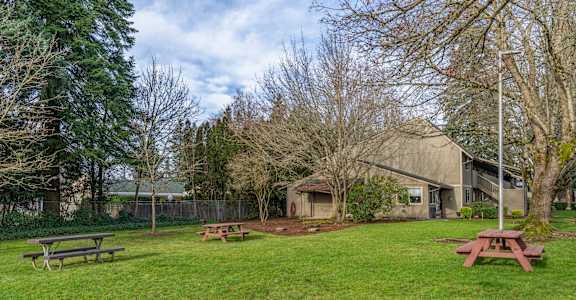 A grassy area with picnic tables and a building in the background.