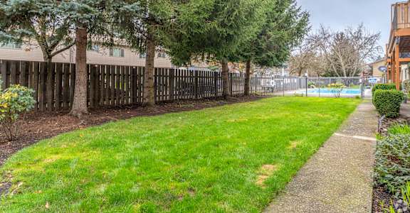 A green lawn with a fence and trees in the background.