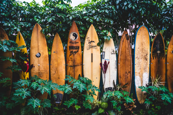 a row of surfboards sticking out of a fence