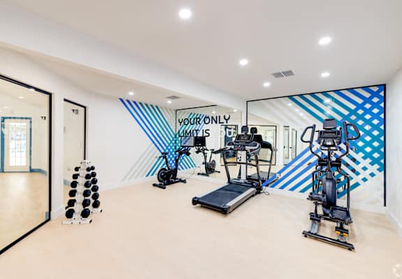 a fitness room with weights and cardio equipment and a wall with blue and white stripes