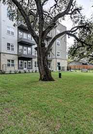 A grassy area with a tree and benches in front of apartment buildings.