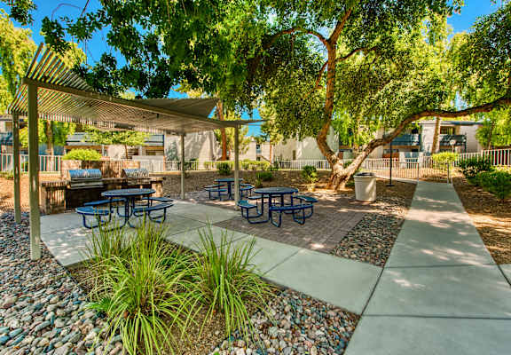 A sunny day at a park with picnic tables and a canopy. at Connect on Northern Apartments, Glendale 85301