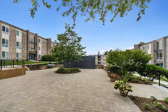 A courtyard with a tree and potted plants in front of apartment buildings.
