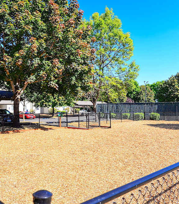A baseball field with a fence and trees in the background.