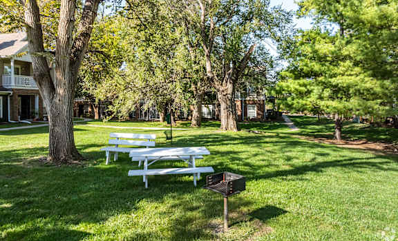 A park with benches and trees.