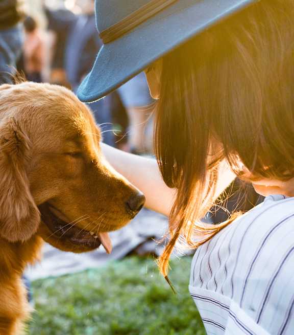 A woman in a striped shirt is petting a golden retriever.