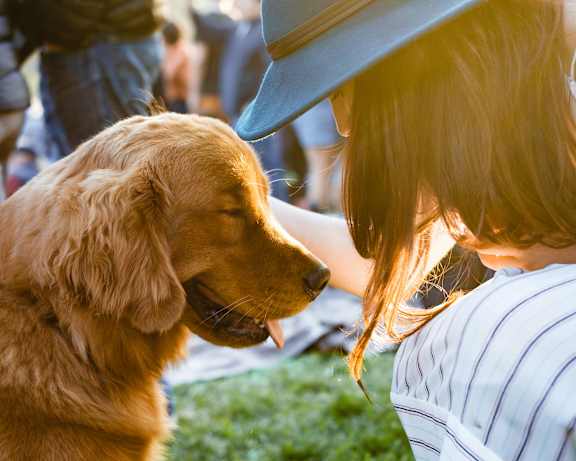 A woman in a striped shirt is petting a golden retriever.