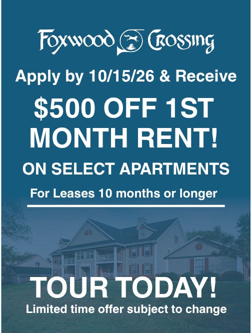 Social Lounge at Poplar Creek Apartments, Brookfield