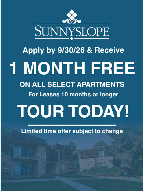 Social Lounge at Poplar Creek Apartments, Brookfield