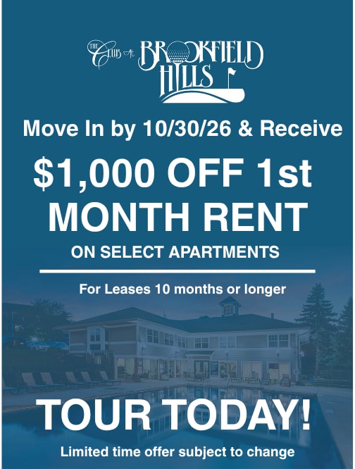 Social Lounge at Poplar Creek Apartments, Brookfield