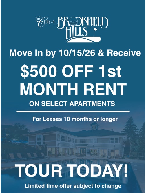 Social Lounge at Poplar Creek Apartments, Brookfield
