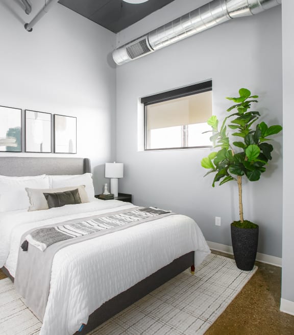 a bedroom with a white bed and a potted plant