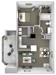 Cheswyck at Ballantyne Apartments - A2 (Appleton) - 1 bedroom and 1 bath - 3D floor plan