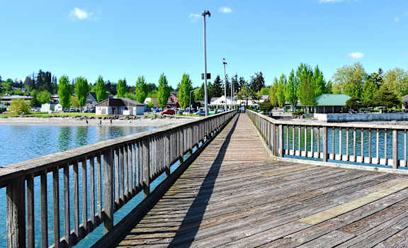 A wooden pier extends into a lake with a building and trees in the background.