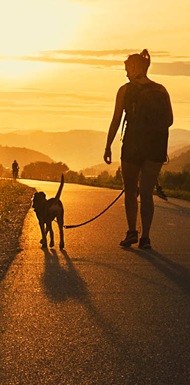A person walking a dog on a road during sunset.