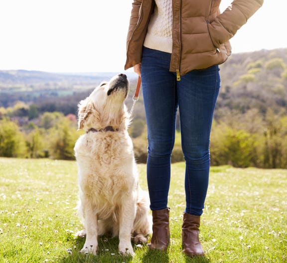 a woman is standing with her dog in a field