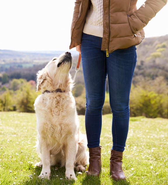 a woman is standing with her dog in a field