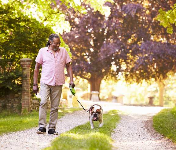 a man walking his dog down a path in a park