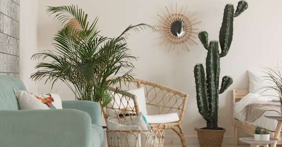 A living room with a couch, chair, and potted plants.