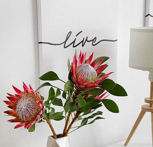 a vase with proteas on a desk with a sign on the wall at Zinfandel Village Apartments, CA 95670
