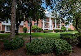 A tree in front of a building with a lawn in front of it.
