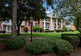 A tree in front of a building with a lawn in front of it.