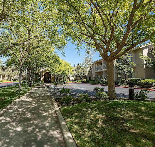 Green Space at Winding Commons Senior Living, Carmichael, CA