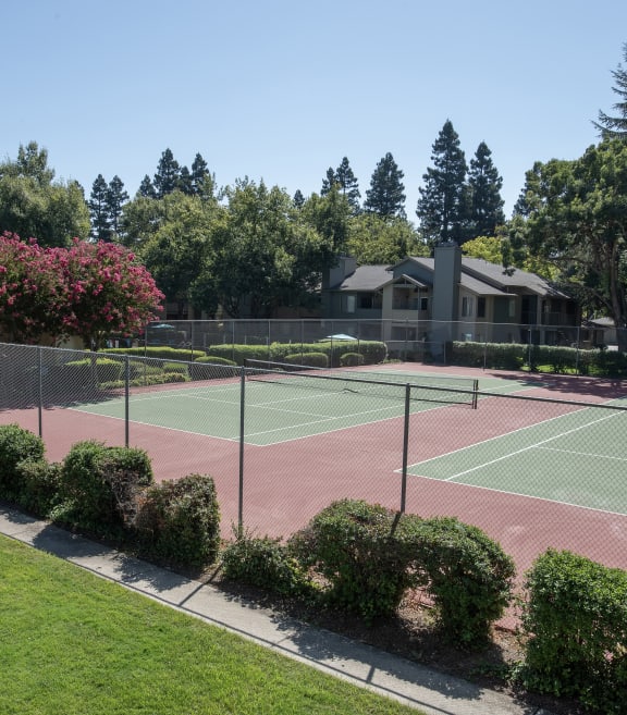 Mature trees shading patios and balconies at Delta Pointe apartments at Delta Pointe Apartments, Sacramento, 95833
