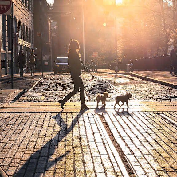 A woman walking her dog on a sunny street.