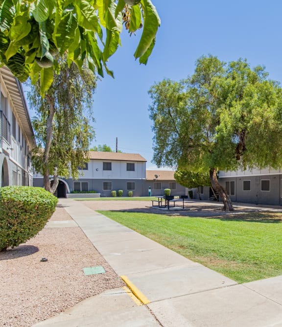 a courtyard between two apartment buildings with a tree in the middle