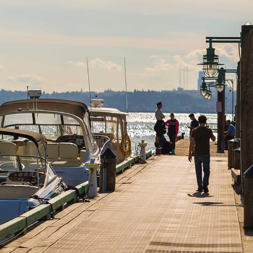 a group of boats parked at a dock on the water