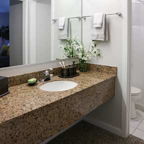 a bathroom with a sink and a mirror and a toilet