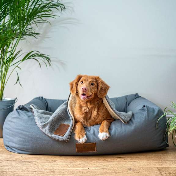 A dog is sitting on a grey dog bed.