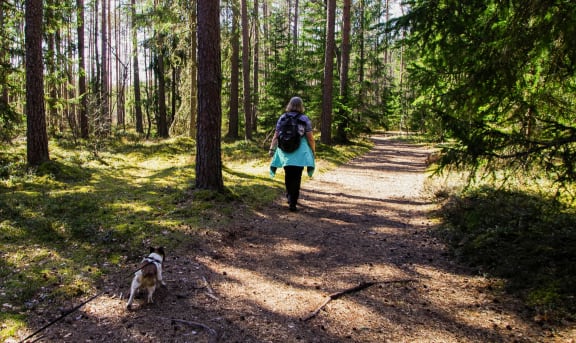 a woman walking her dog on a trail in the woods