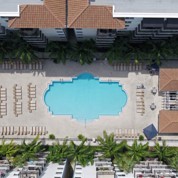 the shadow of a palm tree on the side of a swimming pool