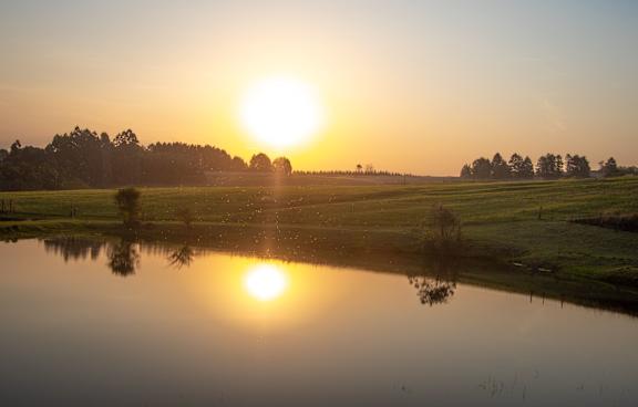 The sun is setting over a calm body of water with trees in the distance.