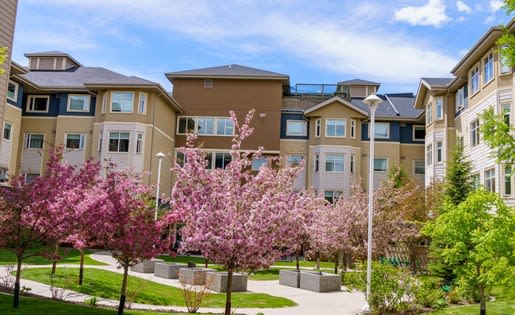an apartment complex with flowering trees