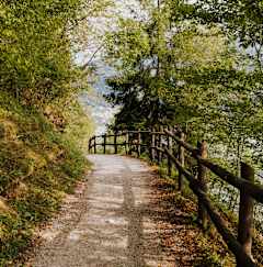 A wooden fence runs along the side of a dirt road.