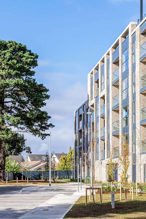 A modern building with a tree in front of it.