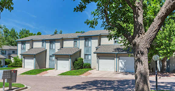 A tree stands in front of apartment buildings.