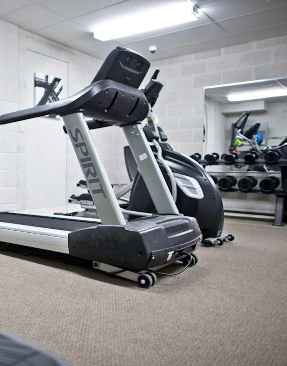 A gym with a treadmill, exercise bike and weights.