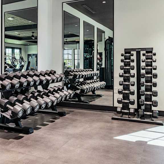 A gym with a row of dumbbells on the left and a mirror on the right.
