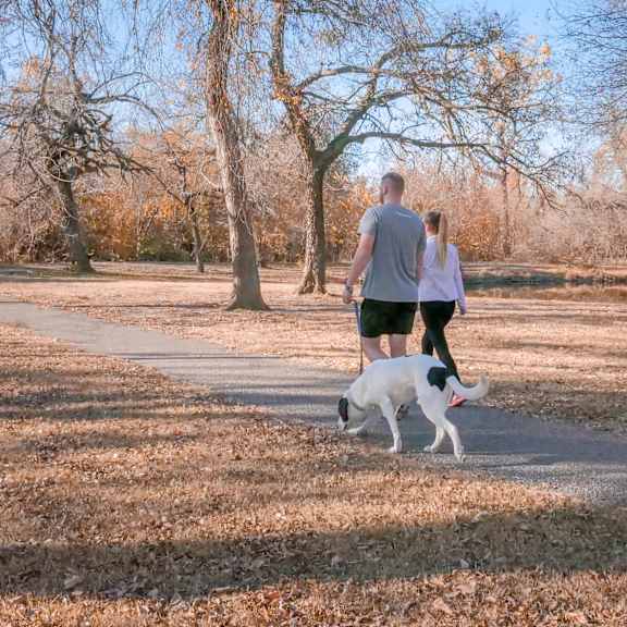 A couple walking a dog at a park at Park Plaza.