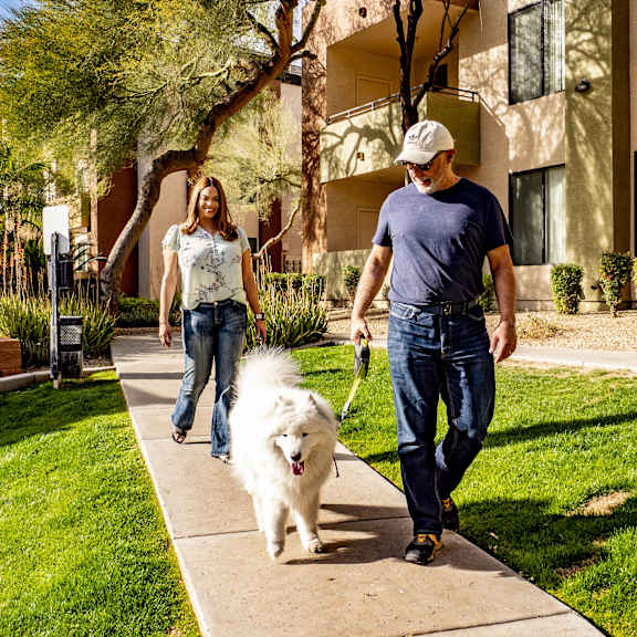 A man and woman walking their dog down a sidewalk at Stirling Place