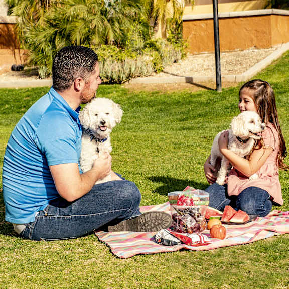 A family sitting on a picnic blanket with their dogs at Somerset Pointe Apartment Homes.