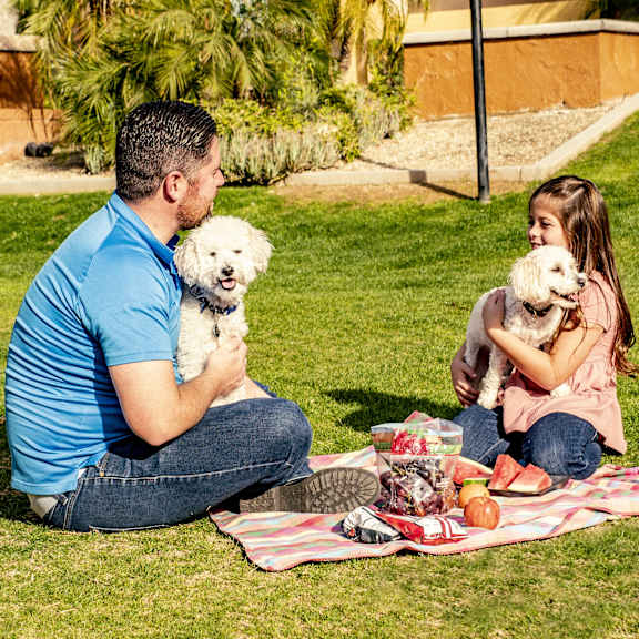 A family sitting on a picnic blanket with their dogs at Dakota Ridge.