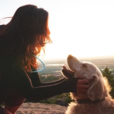 a woman petting a dog at the top of a mountain