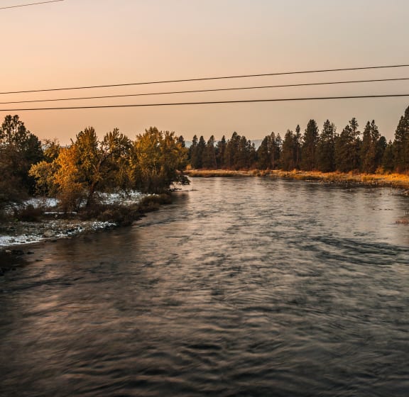 a river with trees and power lines above it